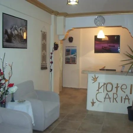Caria Hotel 3*