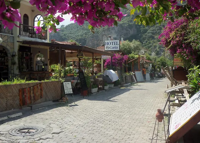 Отель Caria 3*