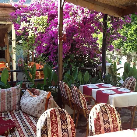 호텔 Caria 사리게르메