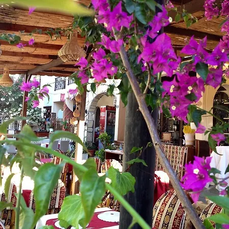 Ξενοδοχείο Caria 3*