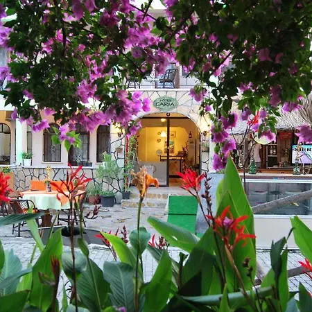 Caria 사리게르메