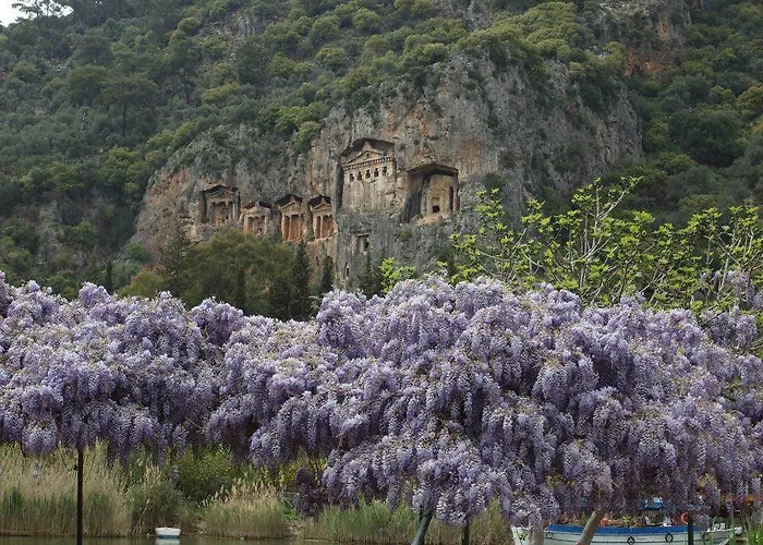 Caria Hotel Sarigerme